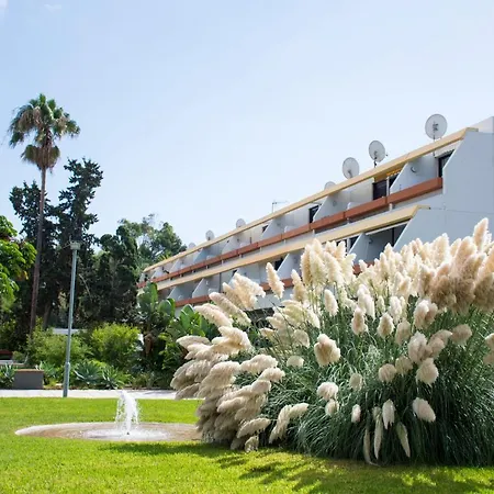 Amazing Seasights - Tenerife