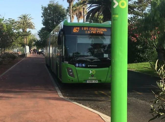 Amazing Seasights - Tenerife *