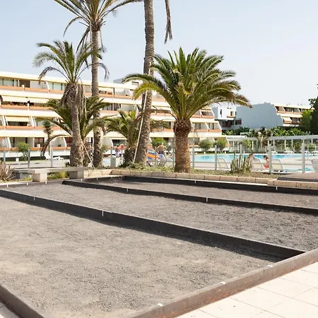 Amazing Seasights - Tenerife